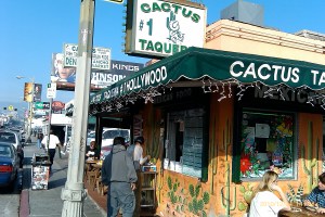 Cactus Taqueria