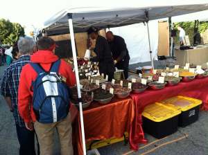 Jubilee Herb Booth